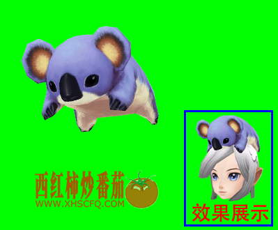 网址：www.xhscfq.com.png